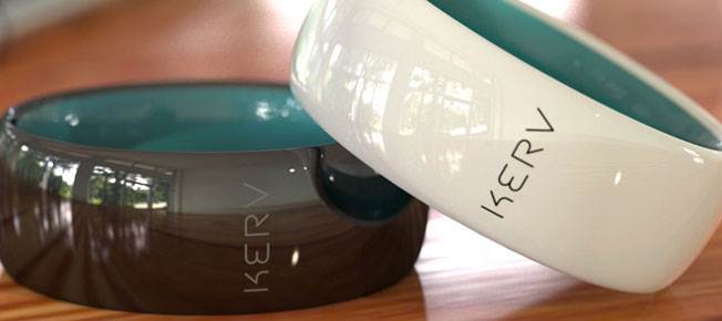 Kerv: The ring for your contactless