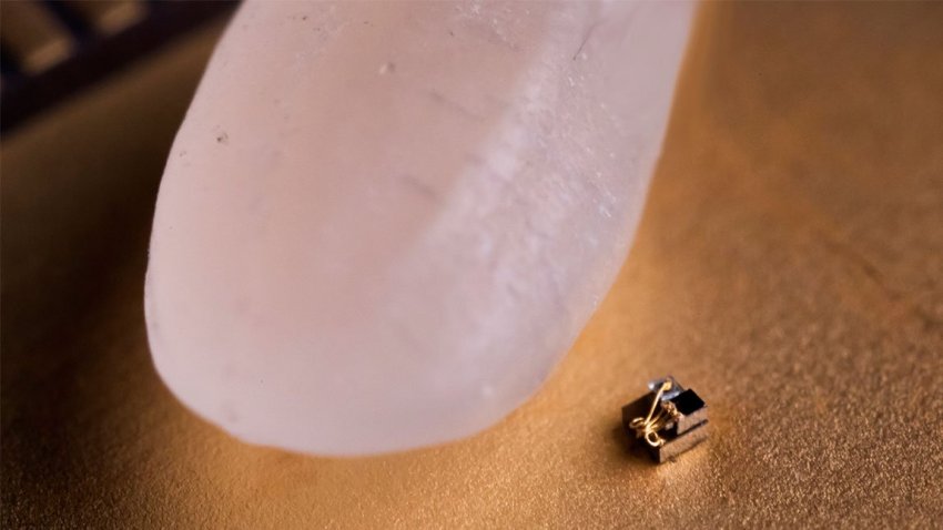 Ένας κόκκος ρυζιού φαίνεται γιγαντιαίος μπροστά στο μικρότερο “υπολογιστή” του κόσμου